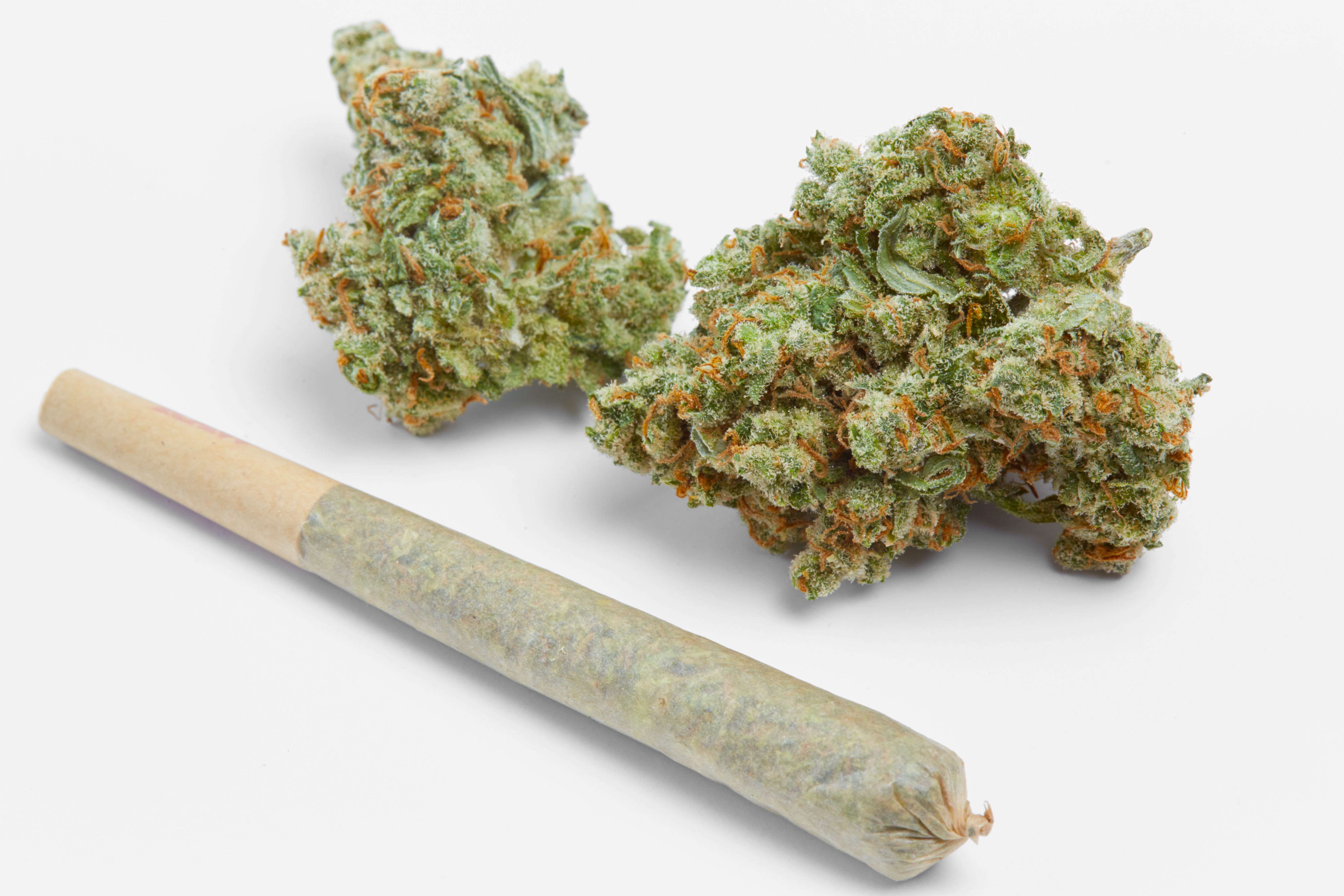 Joint mit getrocknetem Cannabis