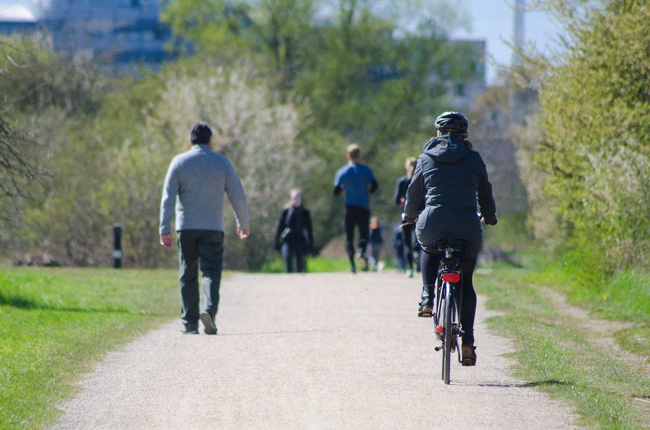 Das verkehrssichere Fahrrad Gib acht im Verkehr